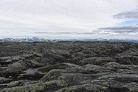 Utsikt fra Gisen mot resten av Børgefjell. Kvigtind og Jetnamsklumpen kan ses.