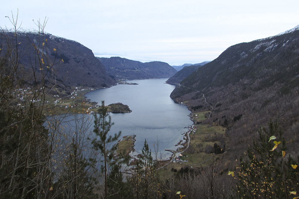 Sogndalsfjorden sett fra veien ned mot Fimreite.
