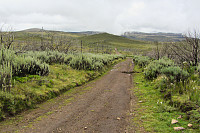 Veien opp til Old Moses camp (Judmeier camp) som ligger på kollen sentralt i bildet.