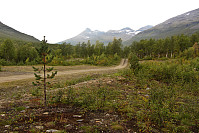 Hahttagaisi, Likjefell og Botnskardtindan sett fra veien sørøst for Harkinn, like ved "Camp Tamok".