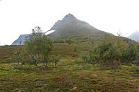 Ryggen opp mot Cahcevahnjunni på Vassdalsfjellet reiser seg dramatisk opp fra Finndalen.