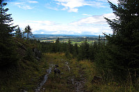 Fin utsikt mot Hadelands gårder og grender fra traktorveien nordvest for Helgehaugen.