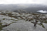 Utsikt fra østryggen Heiahornet. Holmavatnet til høyre.