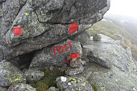 Toppbok under en stein like ved toppen på Tomlongsheia.