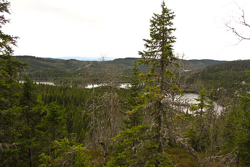 Utsikt fra Rognbråtefjellet mot Dalasjøhøgda i bakgrunnen.