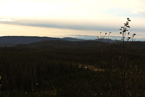 Utsikt nordvestover fra Bukkehøgda.