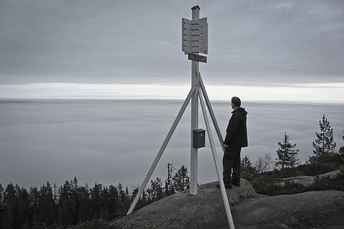 Magisk utsikt over skyhavet fra Storsteinsfjellutsikten.