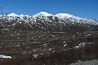 På ca. 600 moh i Norddalen. 1872-toppen sentralt i bildet.