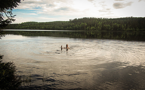 Årets første bad er et faktum! Var nok 16-17 ºC i Jøssjø.