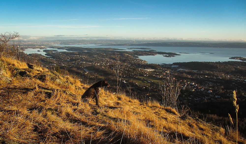 Utsikten fra Skaugumsåsen er en av mine favoritter i Oslomarka.
