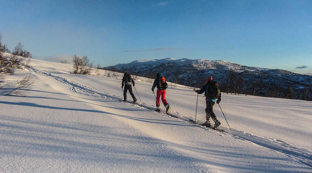 Vi vandrer med freidig mot.