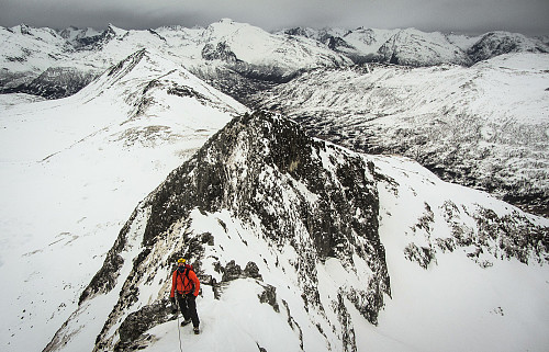 Fin alpin nordrygg på Holtafjellet. Turens definitive høydepunkt!