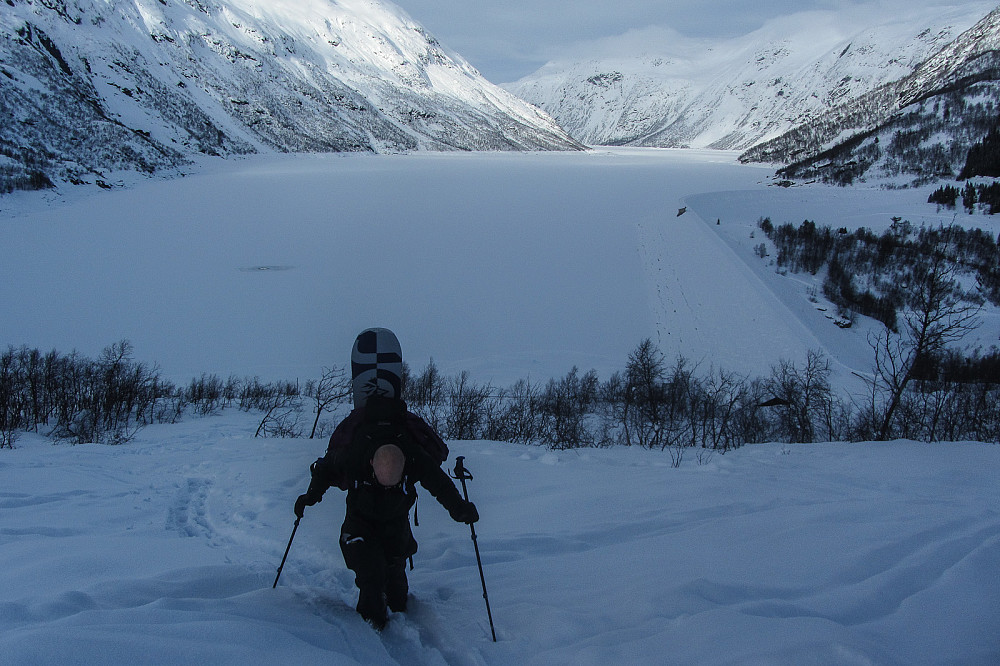 Gustaf prøvde heroisk å kjempe seg oppover til fots, men det var fånyttes. Tunsbergdalsvatnet i bakgrunnen.