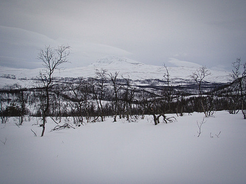Hjerttinden, høyeste topp i Salangen og Sørreisa var et naturlig blikkfang i vest.