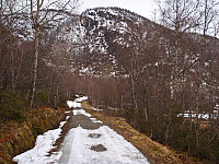 Smått med skiføre i starten på anleggsveien til Svartvassætra.