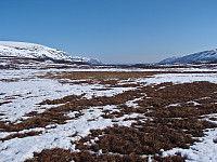 Myrlandskap langs med Fauskeelva i Kjæsdalen. Bildet er tatt i nordøstlig retning.