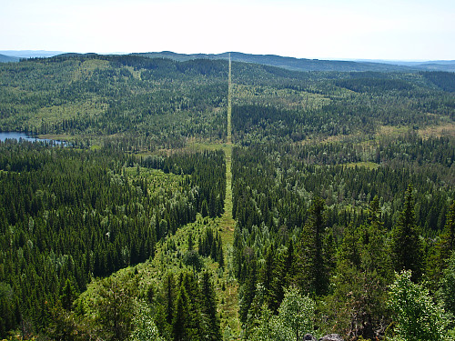 Riksgrensa går sørover gjennom de dype Finnskogene, sett fra Elgklinten