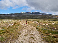500fjell_p7270191.jpg