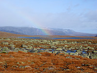 Regnbue ved Fisketjerni. Fine farger i fjellet nå. :) 