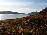Joda, Bygdins bredde er fin på andre måter! Mot vest med Hjelledalstind og Falketind som de to "hornene" som stikker opp i bakgrunnen.
