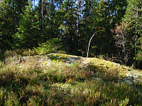 På Sommerfjøstoppen lå det en rest av et gammelt fjøs.
