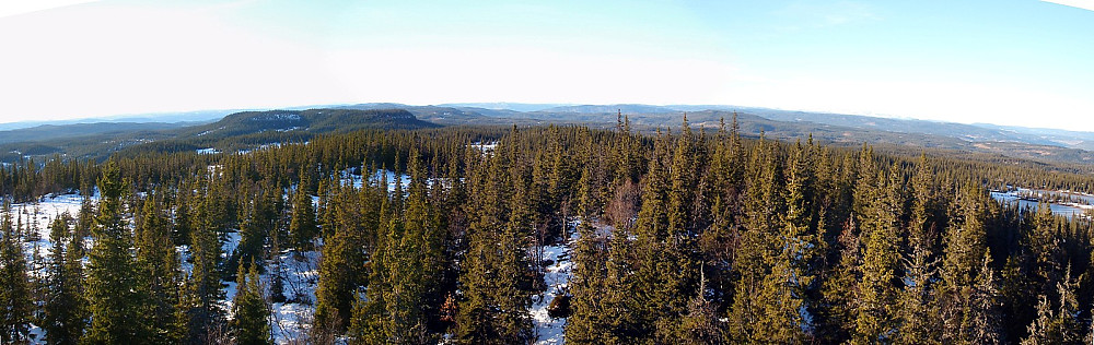 Et lite panorama nordvestover fra Store Skjellingshovde. Vesle Skjellingshovde er skogkolossen til venstre i bildet.