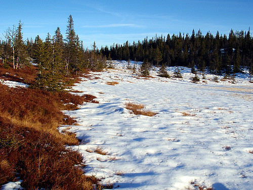 Høst og vinter møtes her ved Skjellingshovde.