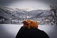 Lunsj med deilig kylling like nord for Tungefjellet med utsikt innover i Raundalen.