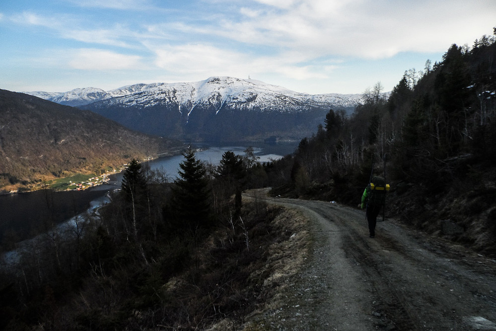 Sjarmøretappen langs veien fra Hølsete ned mot Sogndalsfjøra.