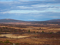 Utsikt mot Rendalssølen som ligger mellom Myklebyskarven (t.v.) og Storhorta (t.h.). fra myrene rundt Kroksjøhøgda.
