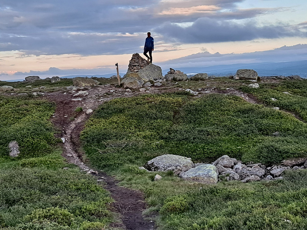 Pål på Reinsfjellet