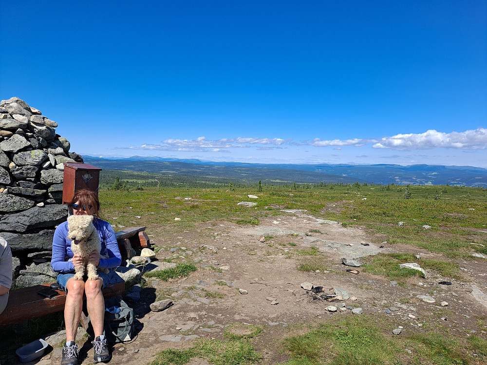 På Hærfjellet