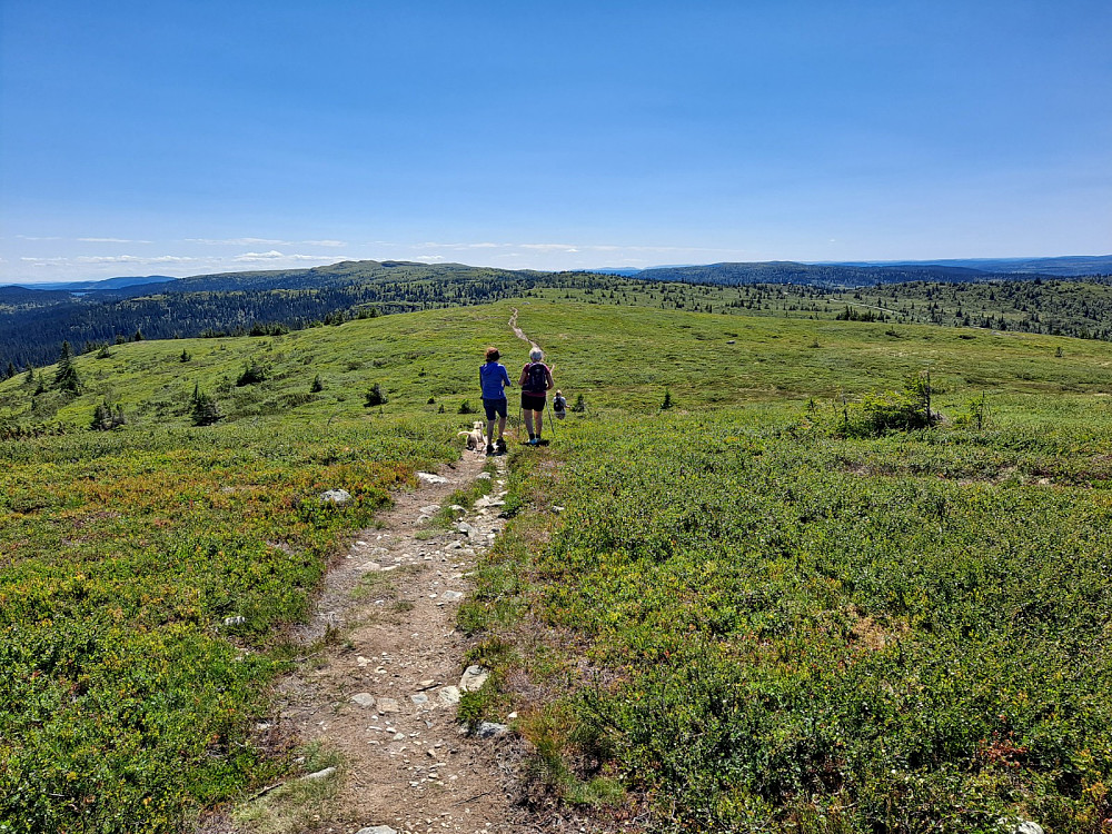 Ned fra Hærfjellet