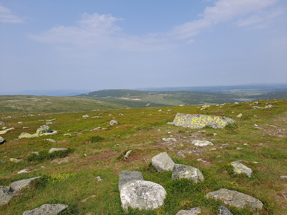 På Nevelfjell, mot Pellestova