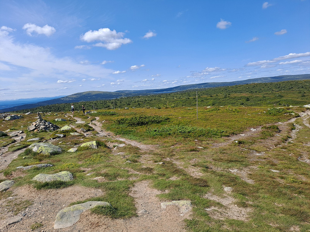 På Lunkefjell