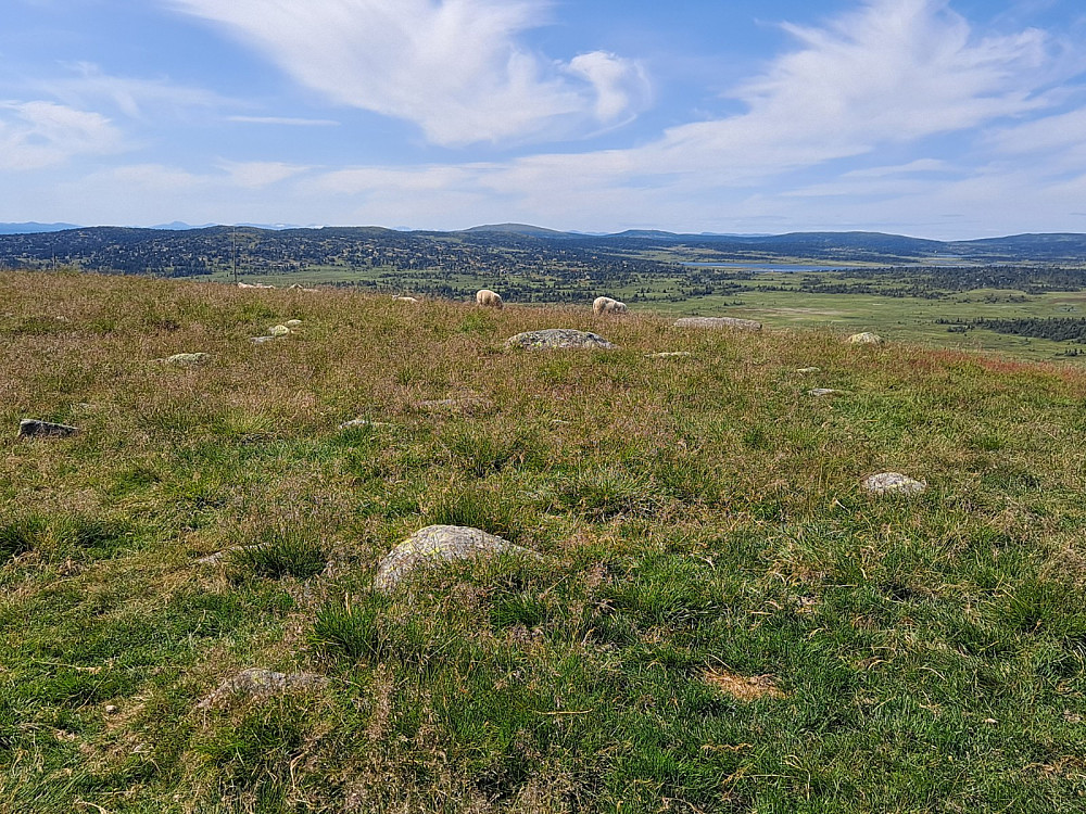 På Snørvillen