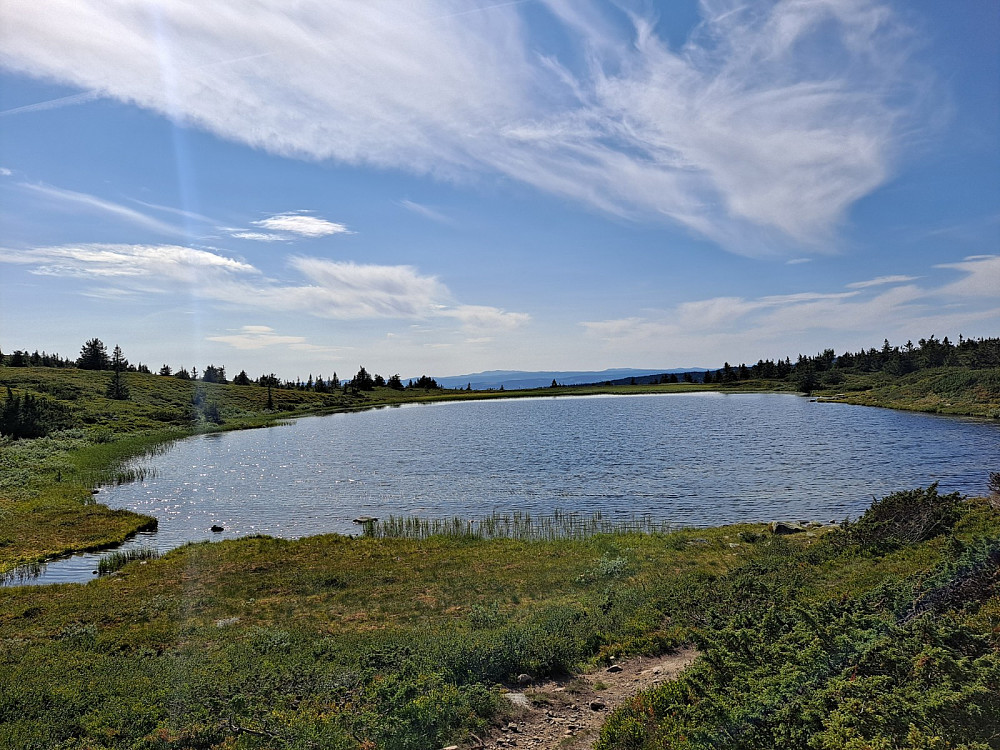 Ved Gulrandtjernet