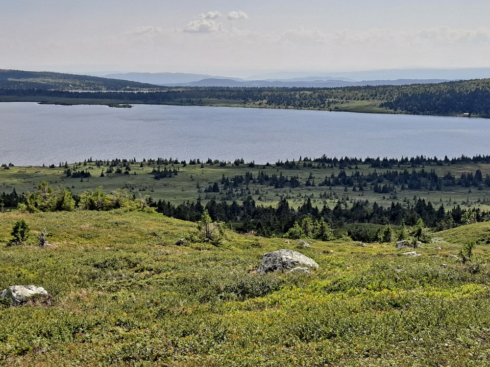 På Reinsfjellet