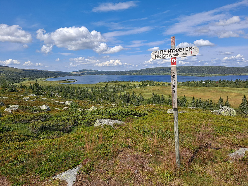 På Ytre Nysæterhøgda
