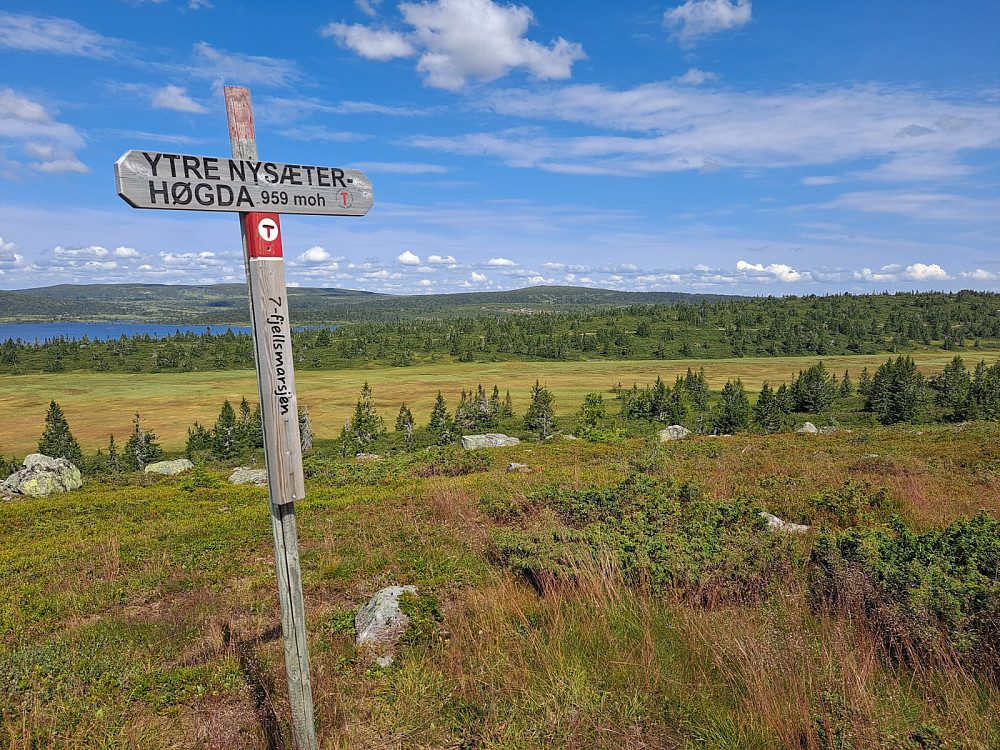 På Ytre Nysæterhøgda
