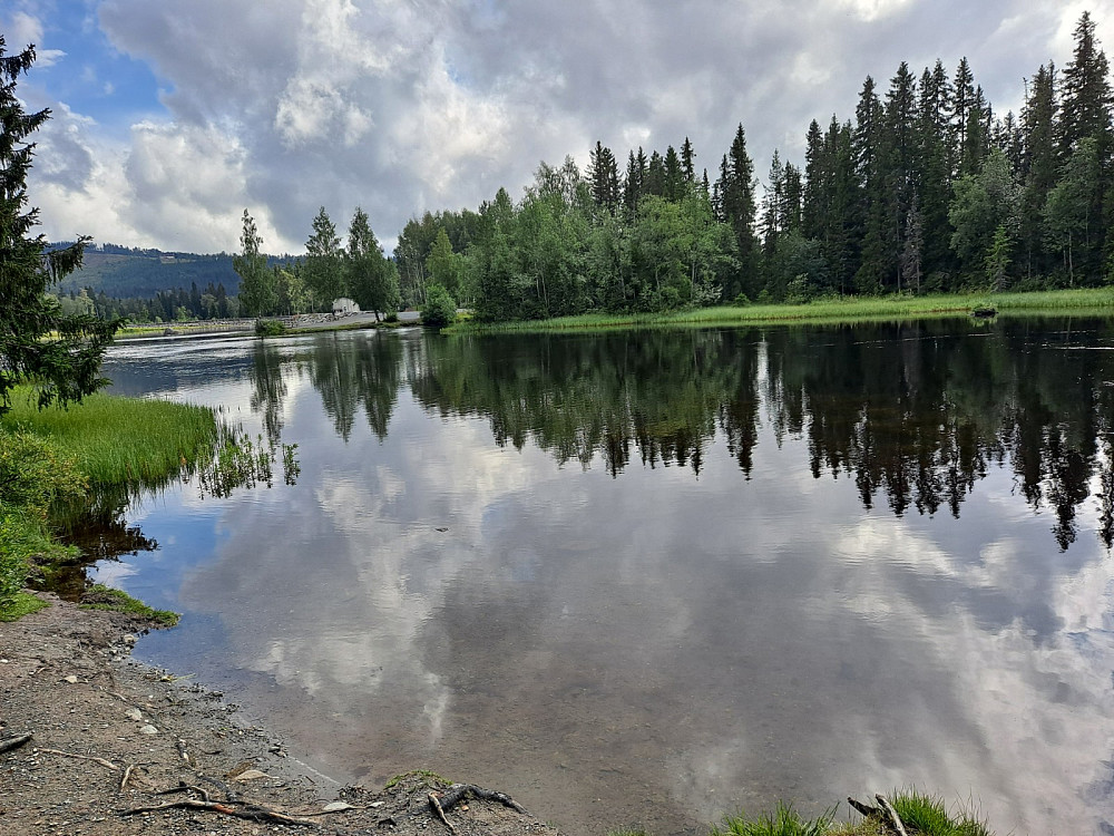 Ved Krokbua