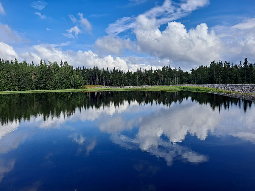 Krokflø