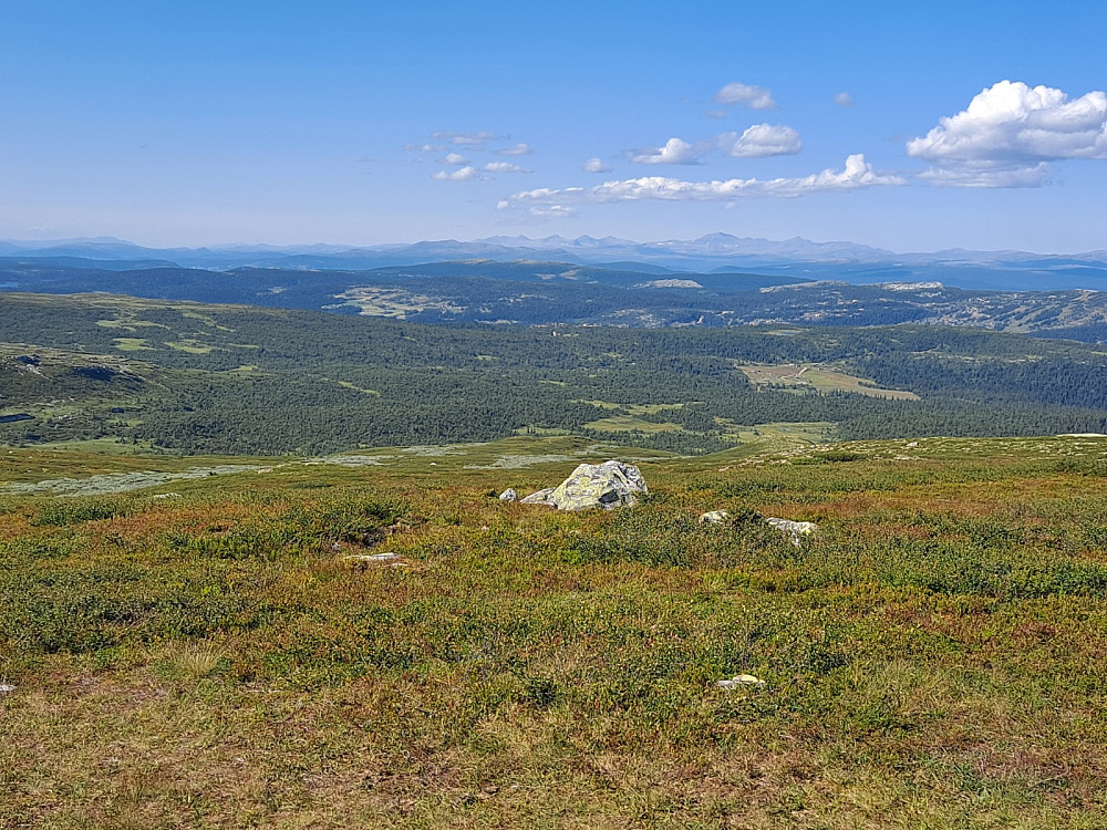 På Østre Bånseterkampen