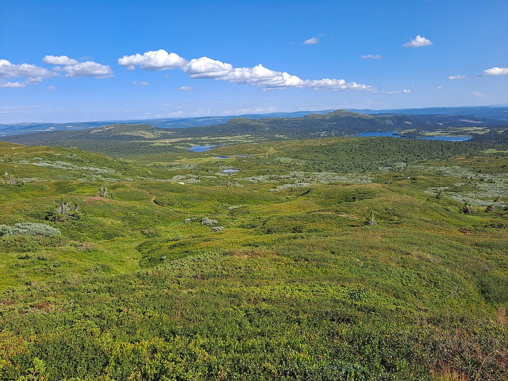 Mot Linvikknappen, Skjenafjellet og Killiknappen