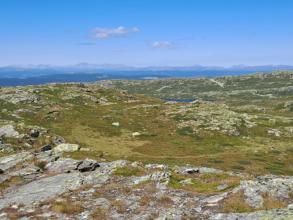 På Prestkampen