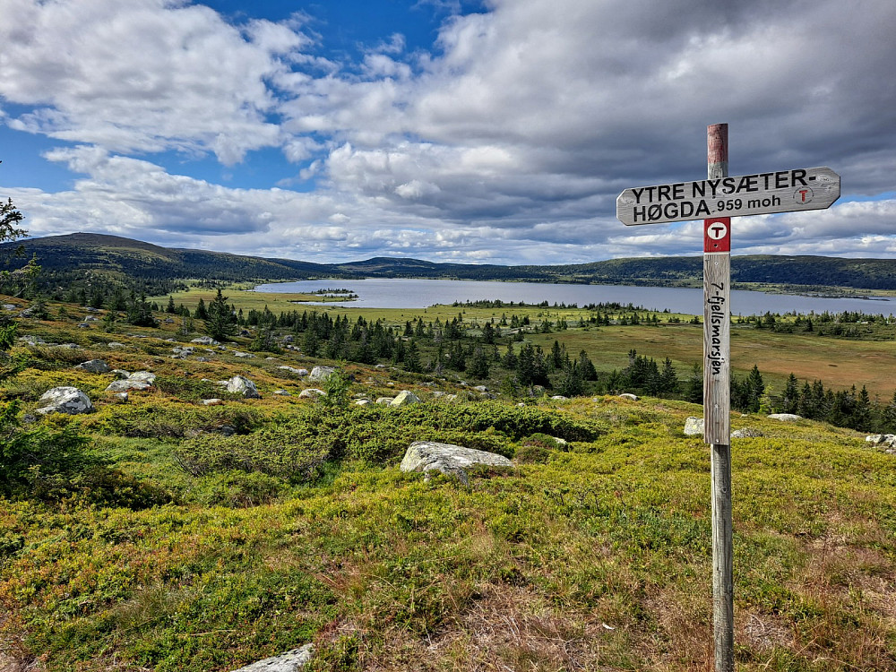På Ytre Nyseterhøgda