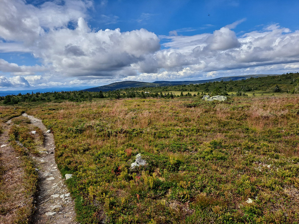 På Lunkefjell vest