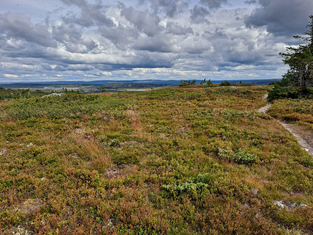På Lunkefjell vest