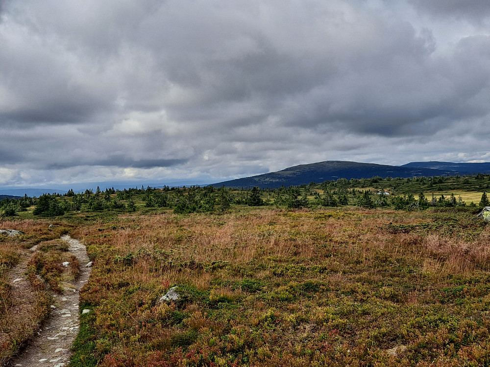 På Lunkefjell vest