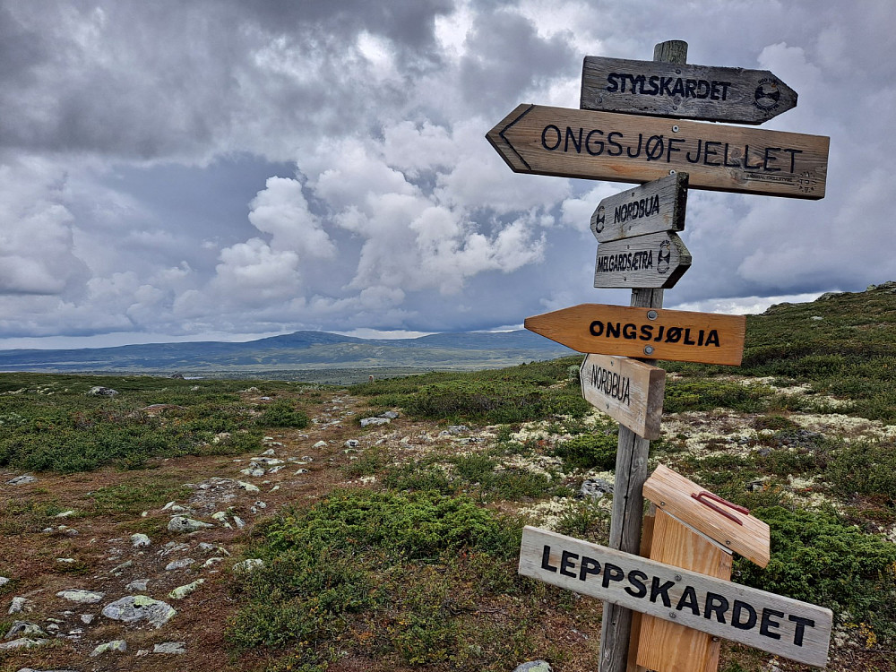 I Leppskardet